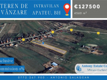 Teren intravilan de vânzare - Apateu