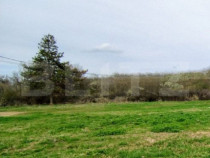 Teren intravilan de vanzare, 1.243 mp, platou Breasta