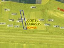 Teren Extravilan 4000mp
