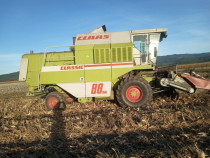 Claas Dominator 88 SL de vanzare