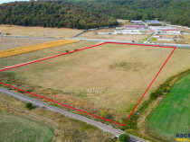 Lot industrial, de 60.000mp, direct acces la DN1, Codlea, Br