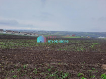 Teren intravilan 2391 mp in Sf. Ilie