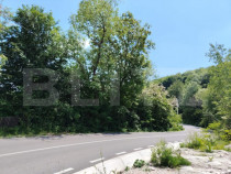 Teren intravilan Pietrosita