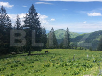 De vanzare, teren intravilan 5.500mp, Predeal