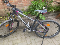 Bicicleta / trotinete