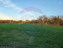 Teren 1,000mp Ciolpani / Strada Catunului