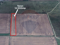 Teren 12.500 mp/Extravilan/ Dumbrava-Prahova