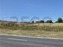 RECO Teren intravilan 900 mp Biharia