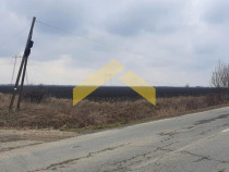 Teren cu PUZ de zona Turnu