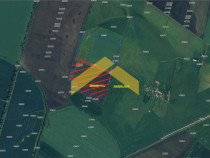 Teren 6,8ha extravilan de Zimandu Nou