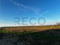 RECO Teren intravilan , Comuna Paleu , Bihor