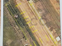 RECO Teren intravilan Biharia