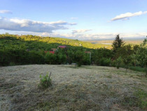 RECO Teren intravilan zona Podgoria