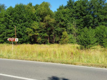 TEREN INTRAVILAN &Icirc;N MARGA-LA DN68 JUD.CARAȘ-SEVERIN