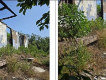 Casa si teren Cucuruzu, ID: R2609648