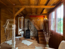Cabana cu 3 camere