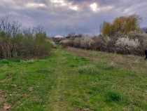 Teren Topoloveni - 3670 mp - langa padure, aproape de Centru