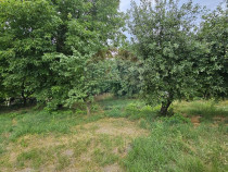 Teren intravilan 2,036mp Pădureni-Șendriceni, Botoșani