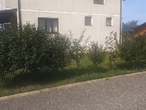 Sat Sasar, casa , 23 ari teren