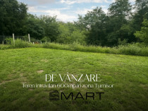 Teren intravilan, 600mp zona Turnisor