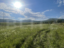 Teren intravilan Viișoara – ideal pentru casă sau invest