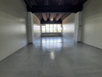 Spatiu Th. Pallady | Ozana | Depozitare-Productie 90mp