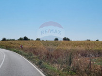 Teren 16.083 mp de vânzare – Sinești, sat Lilieci, Sl...