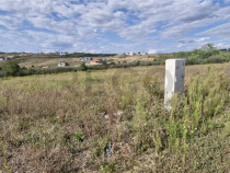 RECO Teren intravilan in Saldabagiu de Munte