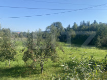 Teren in Doroteia, Plutonița, 3880 mp, intravilan