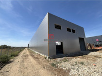 Depozit/hala/spatiu industrial Chiajna - Centura, ILFOV