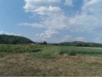 Cota de 1/2 din teren 2356 mp Com. Mihaesti, jud Valcea