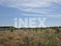 Teren intravilan de v&acirc;nzare in Trivale - zona Magic | 500 m