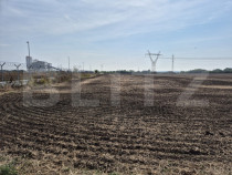 Teren Extravilan Dumbravita pentru investiei