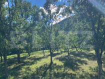 Teren intravilan 500mp Saratel