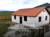 Casa 1 nivel 75mp Cartier Tineretului Sura Mica