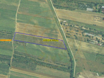 Teren Intravilan Maracineni 7545 mp