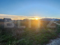 Teren extravilan, 4000 mp, zona Arex