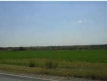 Teren cota parte 1/6, Branistea, ID: R2757177