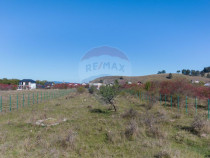 Teren Sanpetru -livada, Strada Nucului, 1296mp, apa, gaz,...