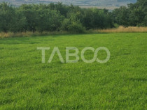 Teren pretabil cabana sau gradina 1670 mp zona deosebita Sib