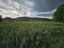 Casa si teren Birtin