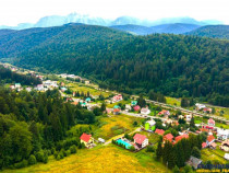 FILM 3D!! Arta si design in incantarea naturii, oportunitate