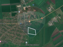 Teren extravilan cu iesire la drumul principal- Pecica, Arad