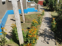 Casă &icirc;n satul Zebil cu vedere superbă spre lacul Babadag