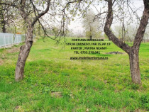 Teren intravilan Rediu, la 30 minute de oras, 4585 mp