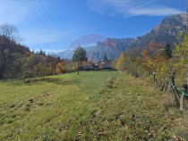 Teren intravilan cu vedere spectaculoasă spre Crucea Car...