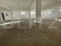 Demisol spațios de 259 mp de &icirc;nchiriat Centura&ndash; ideal pe