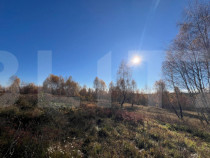 Teren construibil de vanzare, zona casele Micesti
