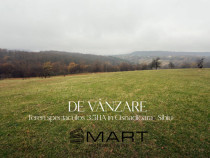 Teren spectaculos 3,5HA zona Cisnadioara