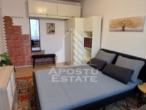 Garsoniera Pet friendly, zona Buziasului